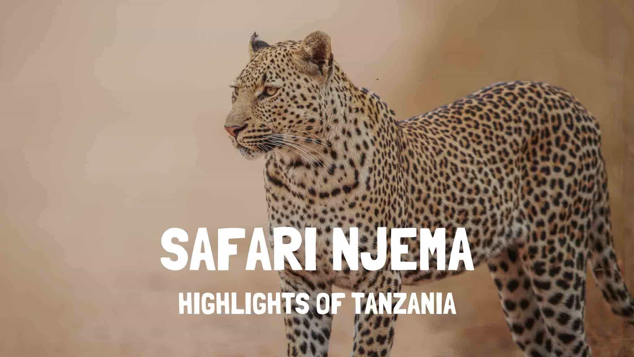 Safari Njema Tanzania - Highlights of Tanzania