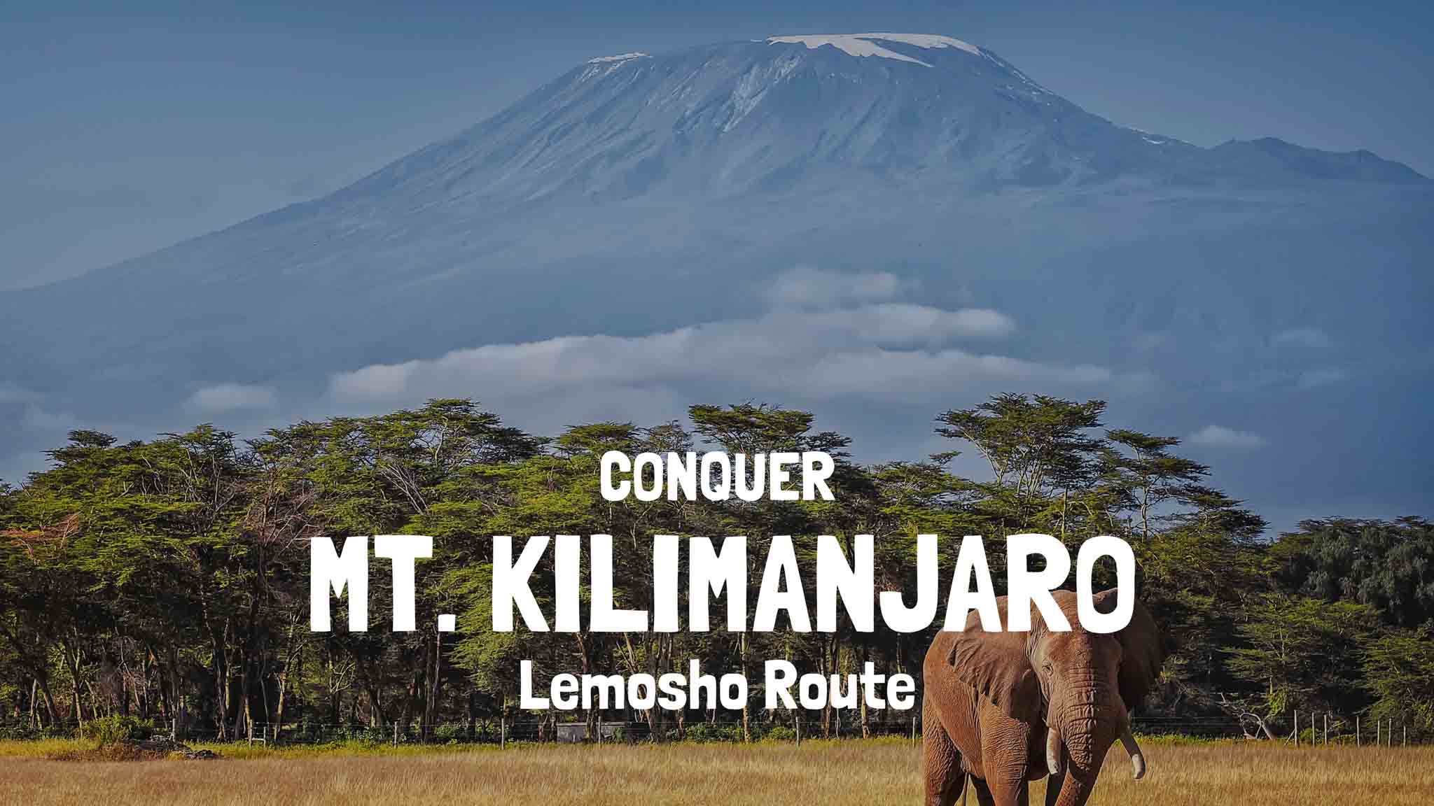 Kilimanjaro Beklimmen 2022 | Informatie, Routes, Tips