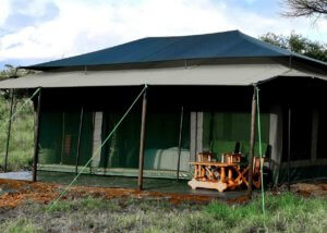 domel wilderness camp, serengeti tanzania