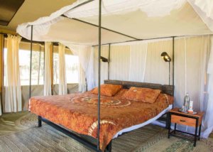 thorn tree camp, serengeti, tanzania