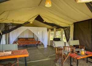thorn tree camp, serengeti, tanzania