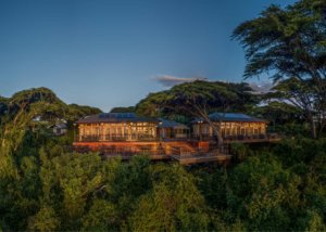Karibu Camps & Lodges - Lions Paw Camp overview