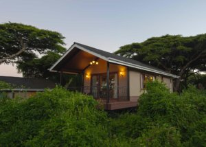 Lions Paw Camp Room outside, Ngorongoro crater rim, Tanzania