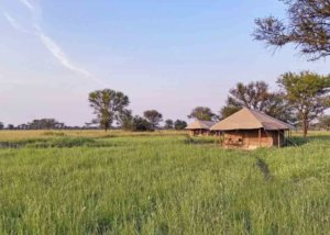 Zawadi camp serengeti