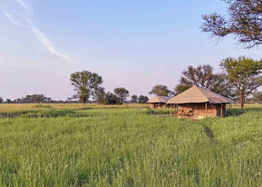 Zawadi camp serengeti