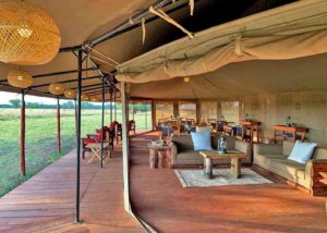Zawadi camp serengeti