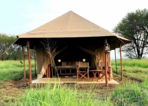 Zawadi camp serengeti