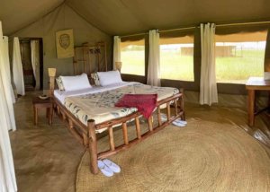 Zawadi camp serengeti