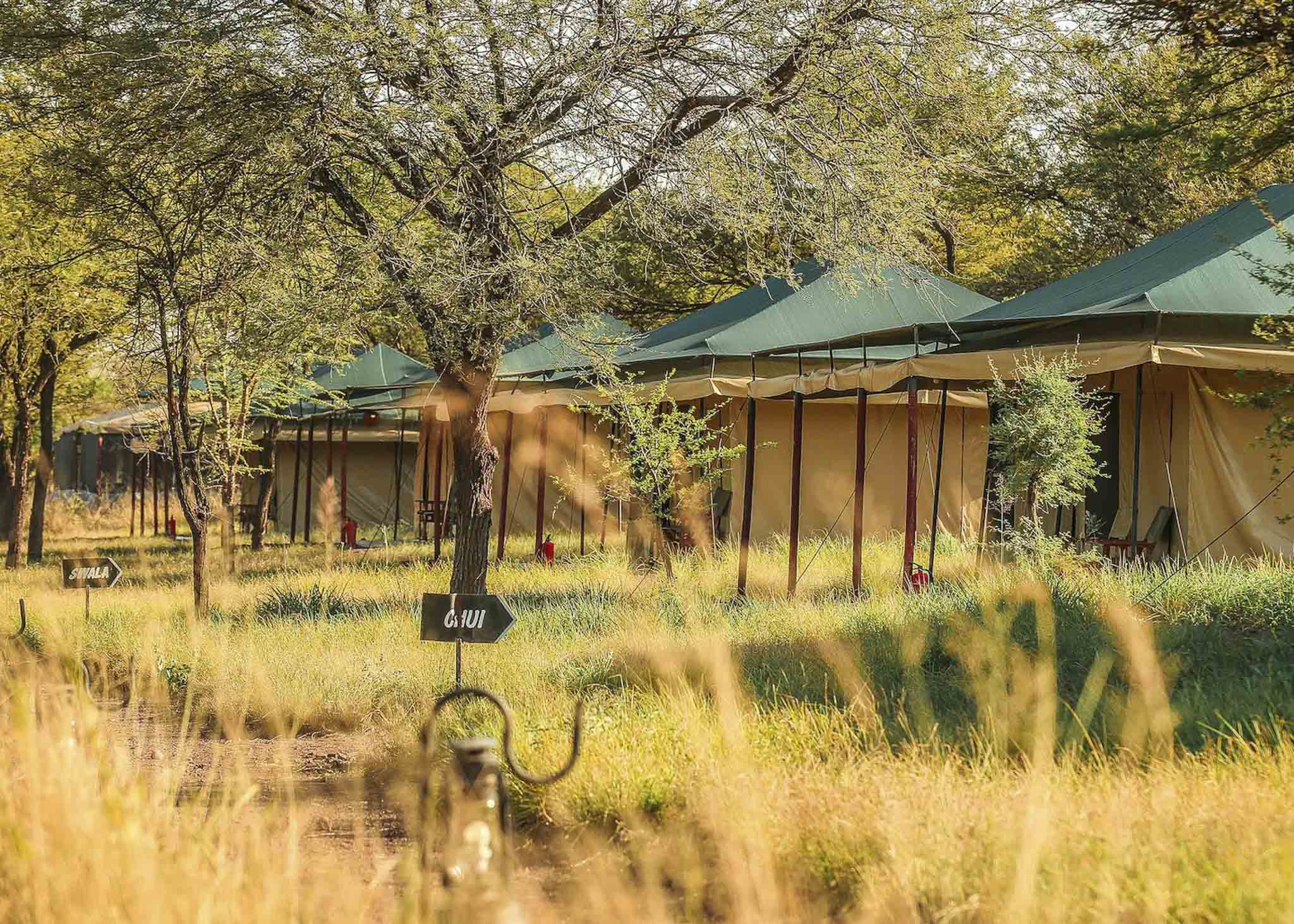 Tukaone Camp Serengeti, Tanzania