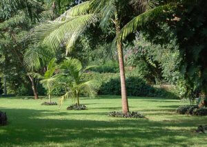 Salinero Lodge Kilimanjaro