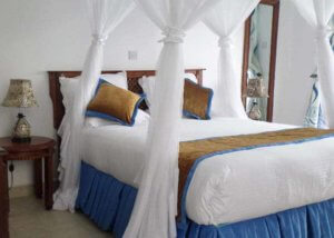 Forest Hill Carnival Hotel