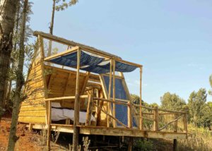 Foresight Eco Lodge Tiny House - Outside