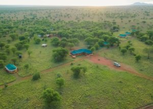 Osinion Camps & Lodges, Serengeti, Tanzania