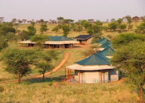 Suenos de Africa Luxury Camp, Serengeti, Tanzania