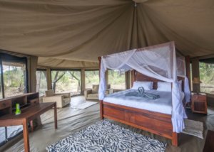 Acacia Seronera Luxury Camp, Serengeti, Tanzania