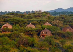 Serengeti Serena Safari Lodge, Tanzania