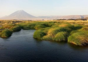 Natron Camp, Lake Natron, Tanzania