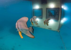 The Manta Resort, Pemba Island, Tanzania