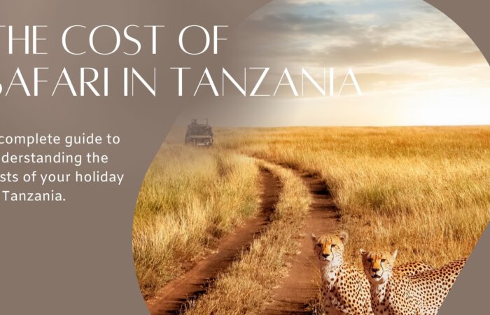 The cost of Safari in Tanzania