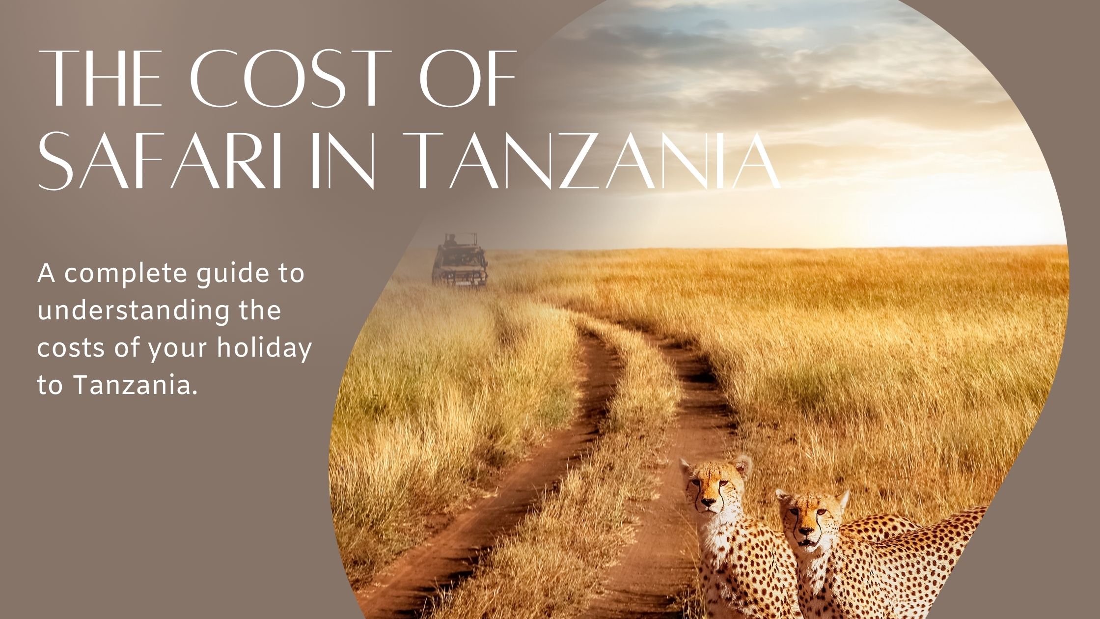 The cost of Safari in Tanzania