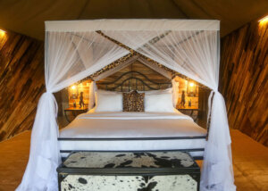 Sound of nature, Serengeti, Tanzania