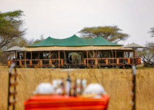 Sound of nature, Serengeti, Tanzania