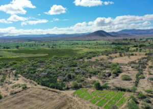 Tingida Tented Lodge, Lake Eyasi, Tanzania
