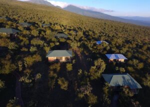 Ngorongoro Wild Camp, Tanzania