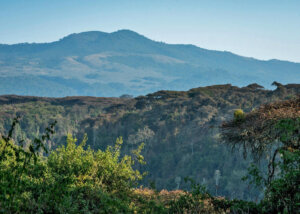 Sanctuary Ngorongoro Crater Camp, Ngrongoro Conservation Area, Tanzania