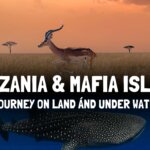 Safari Tanzania & Mafia Island Package