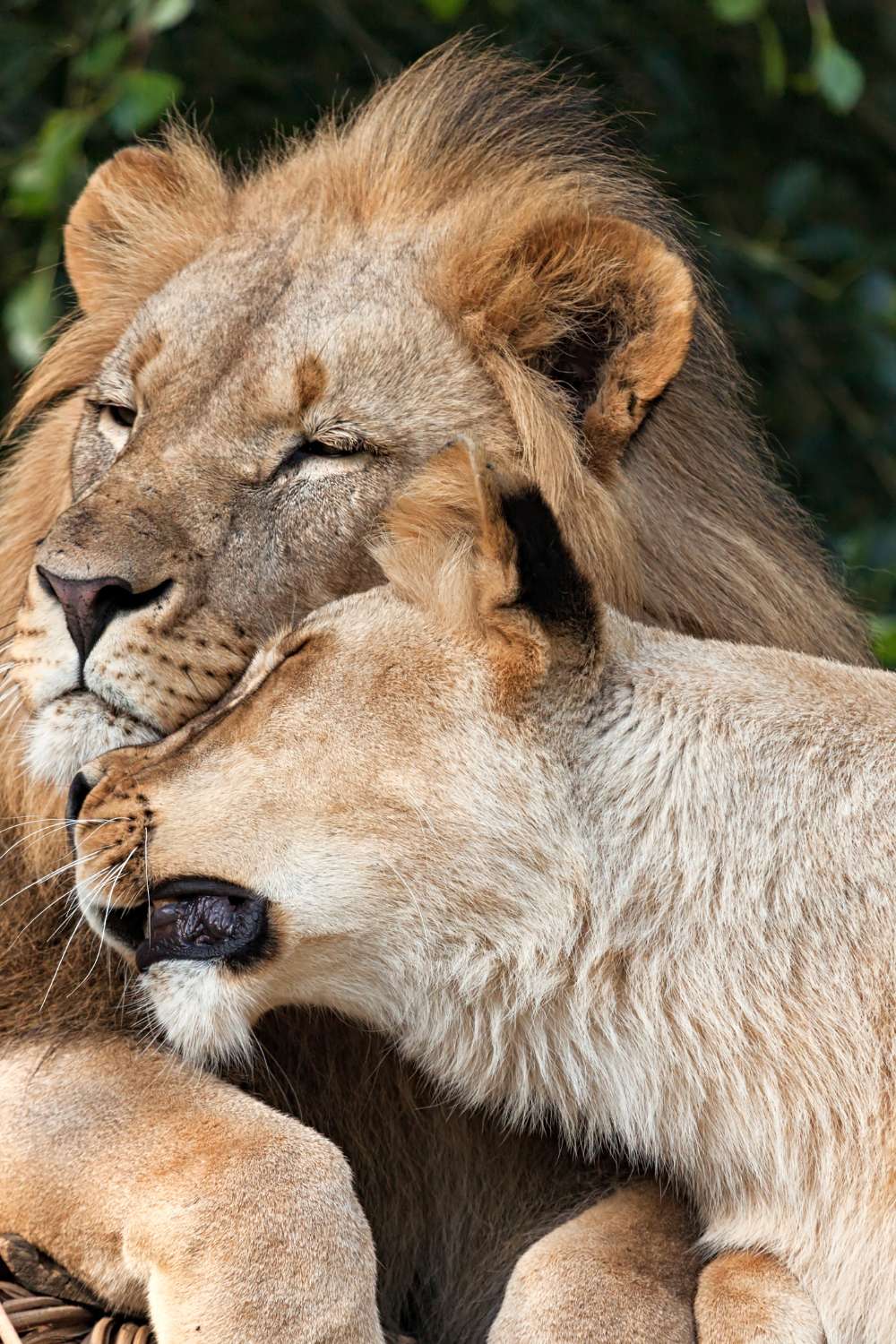 huwelijksreis tanzania zanzibar