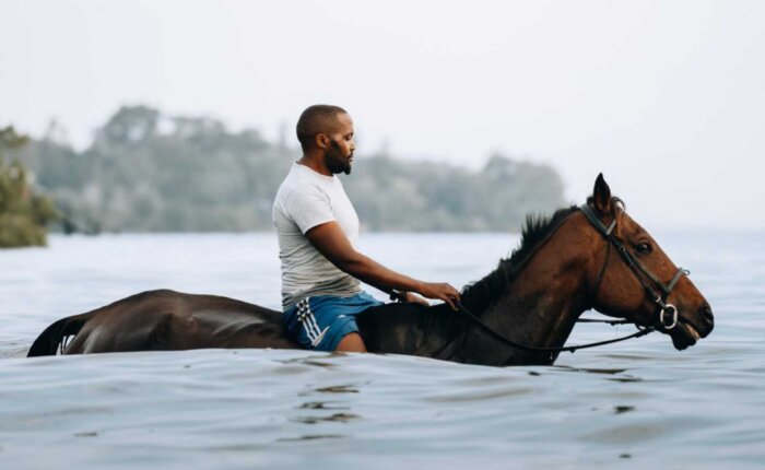 Swimming with Horses Zanzibar, Tanzania