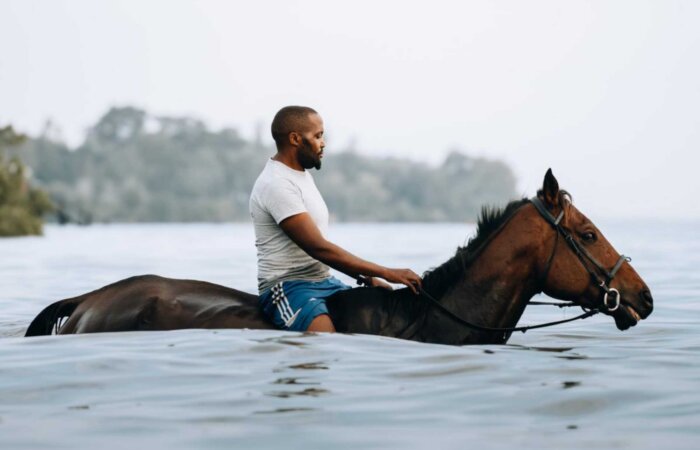 Swimming with Horses Zanzibar, Tanzania