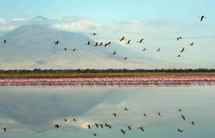 Natron hike 3 Empakai Crater to Lake Natron Hike
